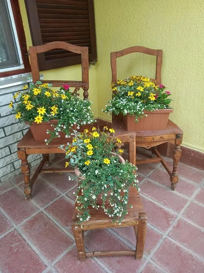 Bazsi Apartman Hajdúszoboszló 0*,