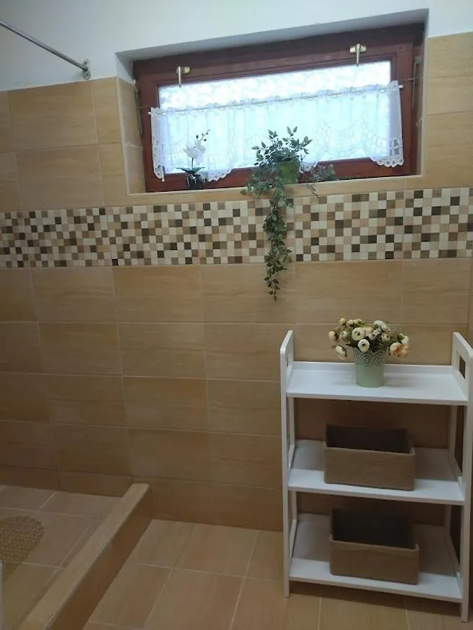 Apartment Bazsi Apartman Hajdúszoboszló Ungarn